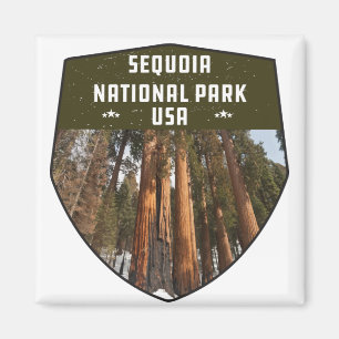 Aimant Sequoia National Park Californie Sséquoia arbres