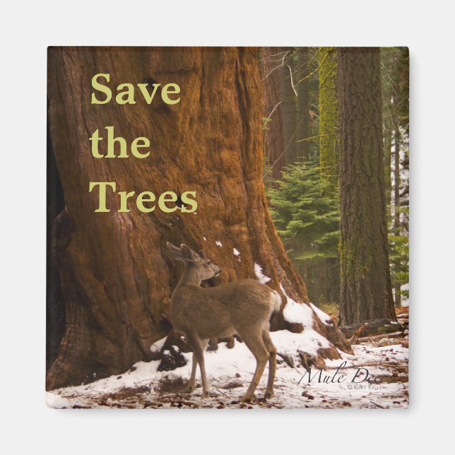 Aimant Séquoia Sauvons l'aimant des arbres (Devant)