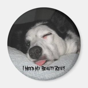 Aimant Série de repos de beauté
