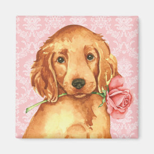 Aimant Setter irlandais Rose de Valentine