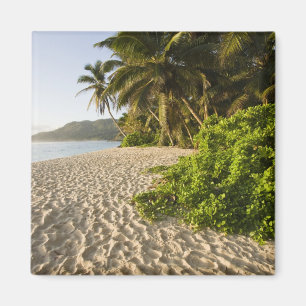 Aimant Seychelles, île de Mahe, Anse Marie-Louise