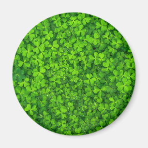 Aimant Shamrock Clovers Green Irish Symbol Ireland