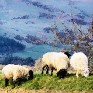 AIMANT SHEEP
