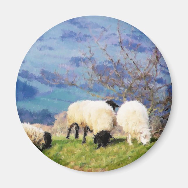 AIMANT SHEEP (Devant)