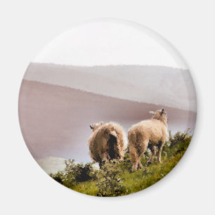 AIMANT SHEEP