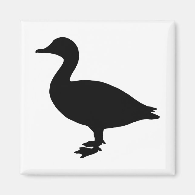 Aimant Sheldrake Duck (Devant)