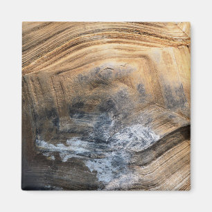 AIMANT SHELL GÉANT TORTOISE