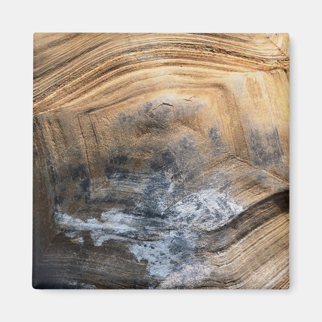 AIMANT SHELL GÉANT TORTOISE (Devant)