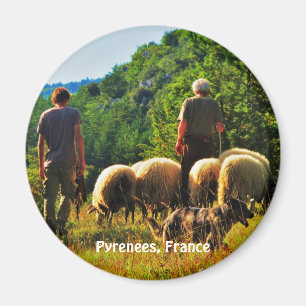 Aimant Shepherding en France