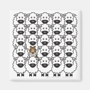 Aimant Shetland Sheepdog dans l'aimant Sheep