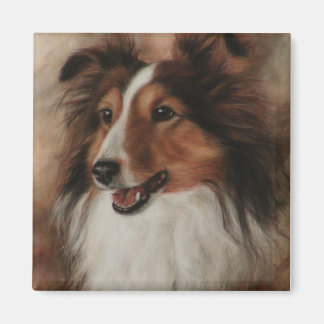 Aimant Shetland Sheepdog Sheltie sourire