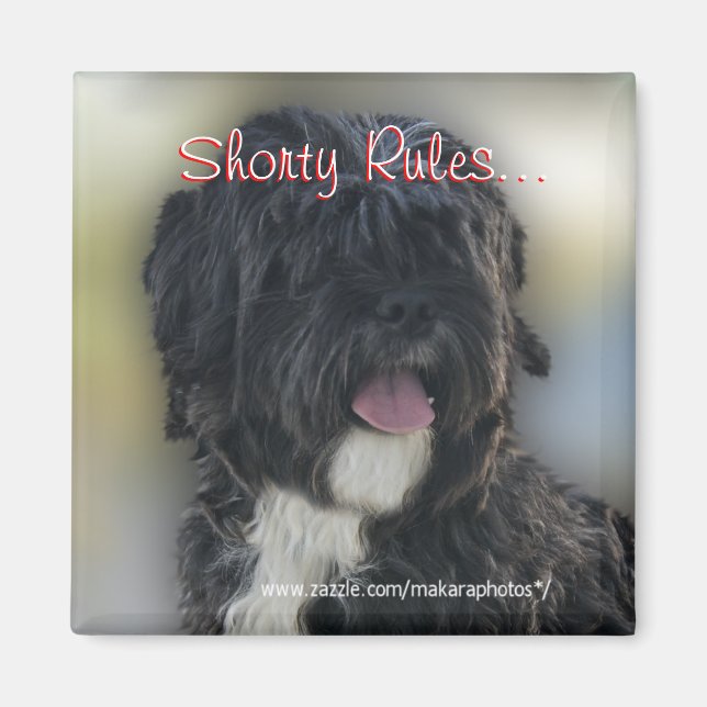 Aimant Shorty Lhasa Apso-Shih Tzu Magnet-personnaliser (Devant)