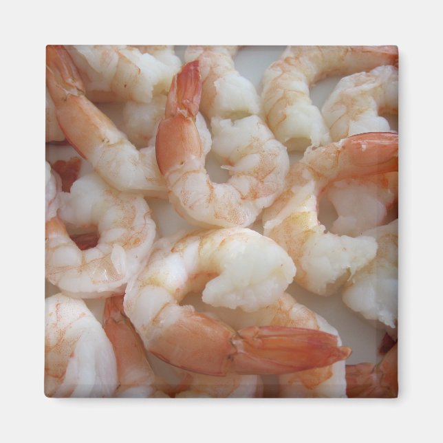 Aimant Shrimpy (Devant)