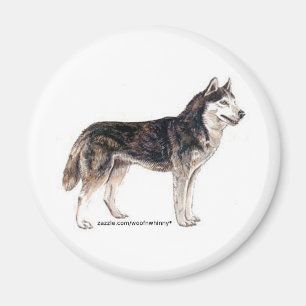 Aimant Sibérien Husky !
