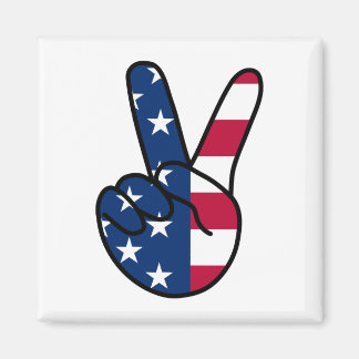 Aimant SIGNE USA Flag V