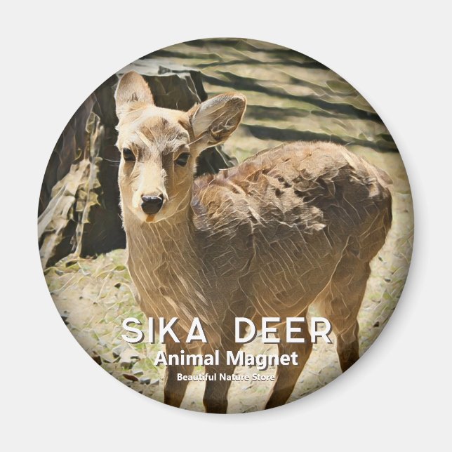 Aimant Sika Deer マ グ (Devant)