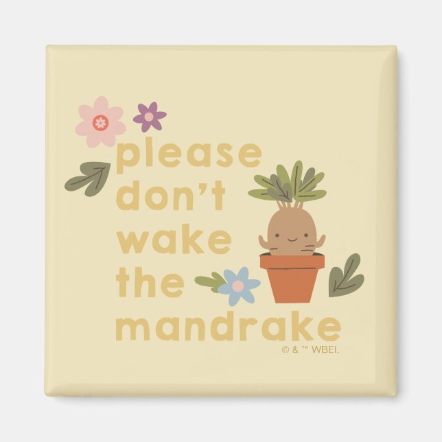 Aimant S'il vous plaît ne réveillez pas le Mandrake (Devant)