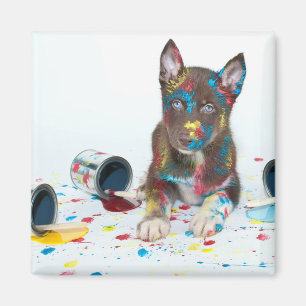 Aimant Silencieux Husky Puppy entre dans les seaux de pei