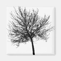 Silhouette de l'arbre