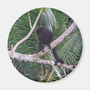 Aimant Singe d'hurleur et singe de bébé en jungle du