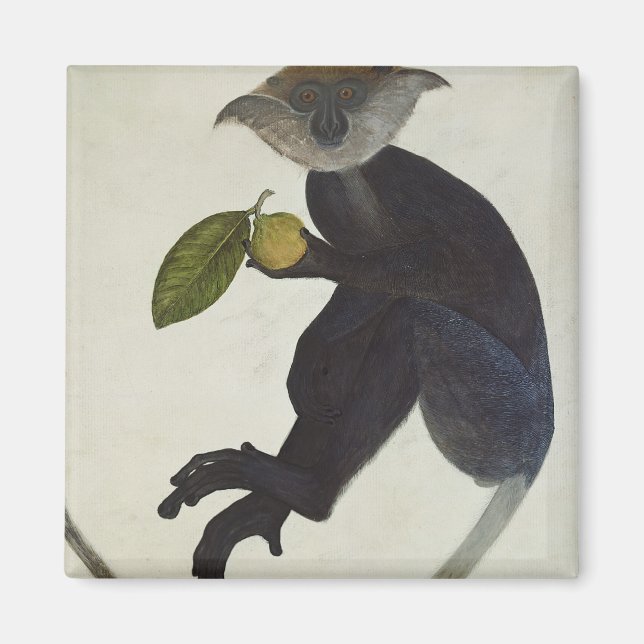 Aimant Singe noir (Devant)