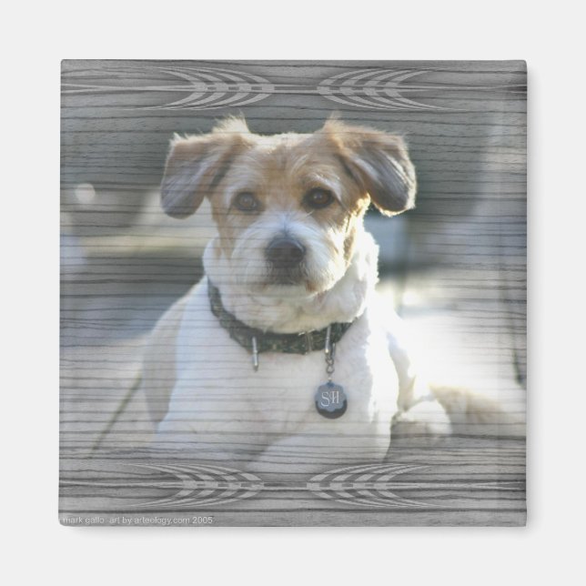 Aimant Sir Henry (Devant)