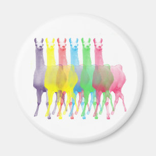 Aimant six lamas dans six couleurs lamas