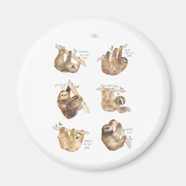 Aimant Sloths Classic (Devant)