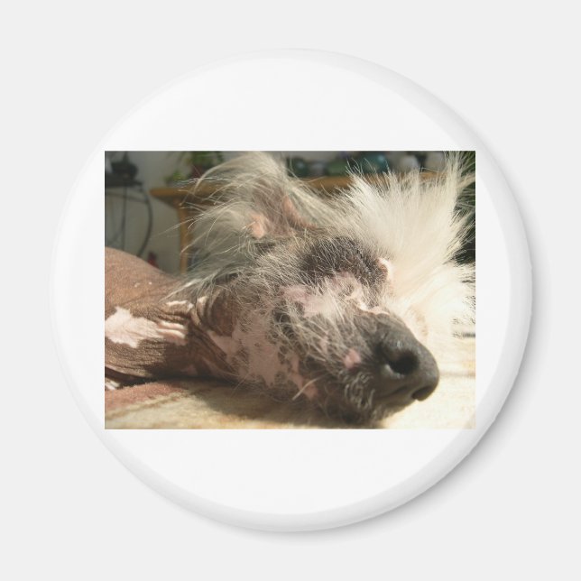 Aimant snooser (Devant)