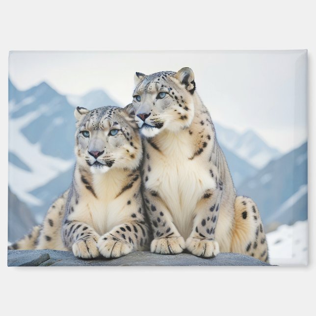 Aimant Snow Leopard Animal Nature Animale Affection Faune (Recto)