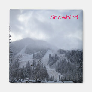 Aimant Snowbird