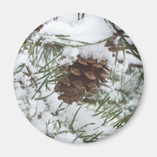 Aimant Snowy Pine Cone I (Devant)