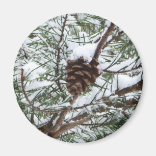 Aimant Snowy Pine Cône II hiver Photographie de la nature