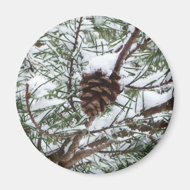 Aimant Snowy Pine Cône II hiver Photographie de la nature (Devant)