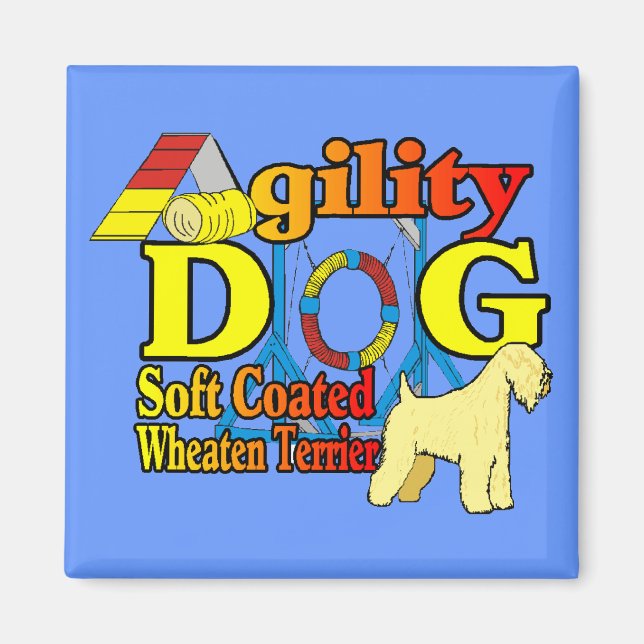 Aimant Soft_Coated_Wheaten_Terrier_Agilité (Devant)