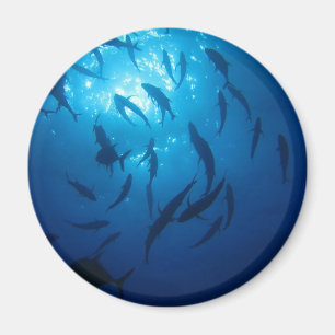 Aimant Soleil et fond sous la mer