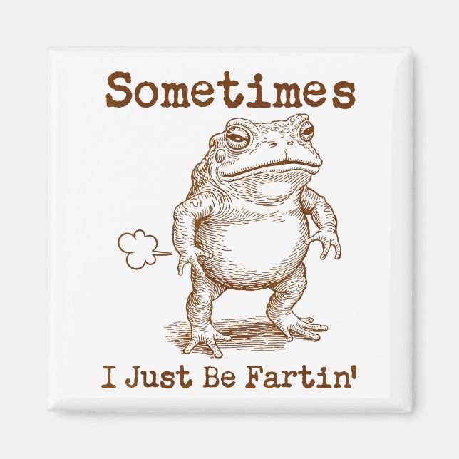 Aimant Sometimes I Just Be Fartin’ Frog Funny Rude Silly  (Devant)