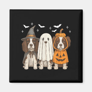 Aimant Sorcière Anglais Springer espagnol Halloween Sprin