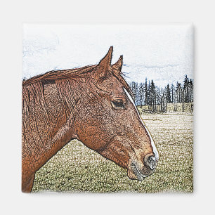 Aimant Sorrel Horse Portrait Equine Art Illustration