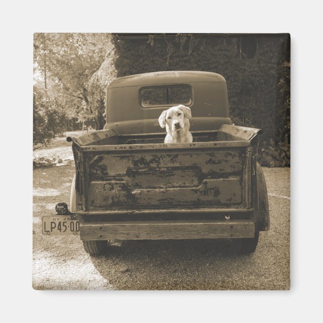 Aimant Sortez de Dodge - Photo de chien (Devant)