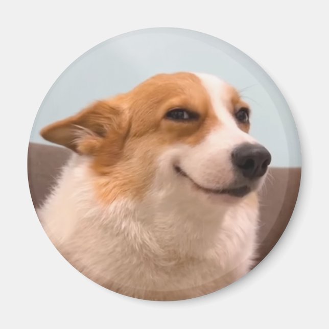 Aimant souriant Corgi mème (Devant)
