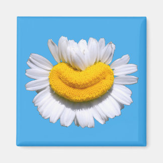 Aimant Sourire radieux de camomille