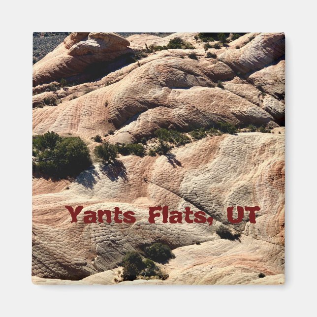 Aimant souvenir : Yants Flats, St. George, UT (Devant)