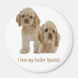 Aimant spaniers cocker