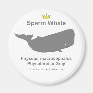 Aimant Sperm Whale g5
