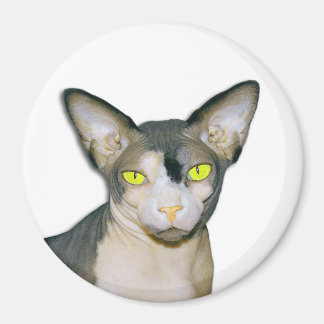 Aimant Sphynx Cat Ninja White Round