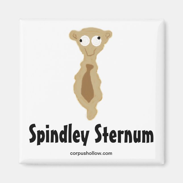 Aimant Spindley Sternum (Devant)