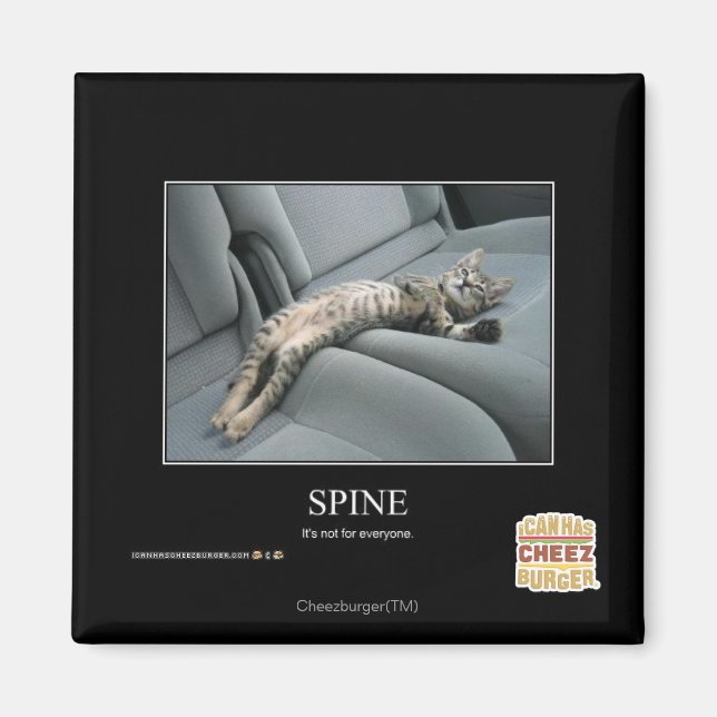 Aimant Spine (Devant)