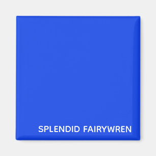 Aimant Splendid Fairywren Blue Color Name