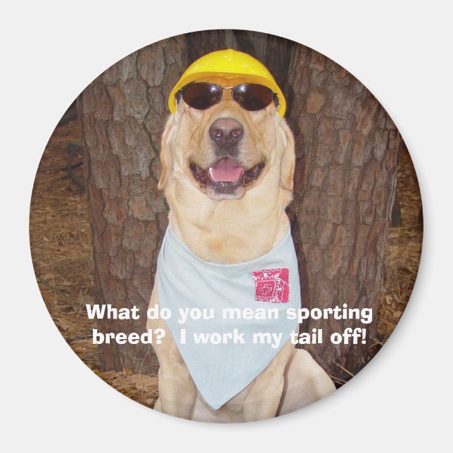 Aimant Sporting Breed ? (Devant)